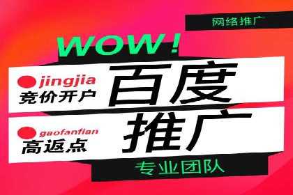 案例解析：SEM搜索引擎优化助力电商快速崛起